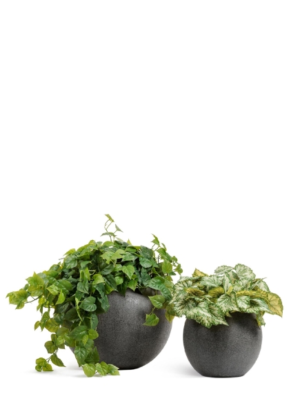 Кашпо TREEZ Effectory, Большая полусфера, Тёмно-серый камень Кашпо TREEZ Effectory, Большая полусфера, Тёмно-серый камень