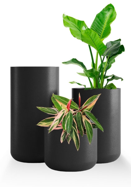 Кашпо CONCRETIKA TOPPER NERO Кашпо CONCRETIKA TOPPER NERO