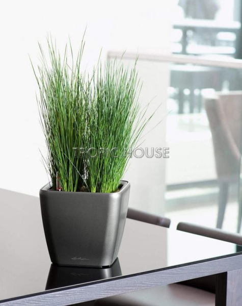Кашпо LECHUZA QUADRO LS 21х20 см Кашпо LECHUZA QUADRO LS 21х20 см