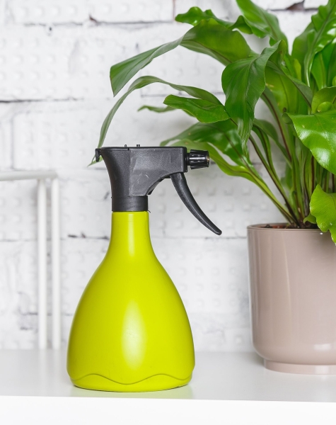 Опрыскиватель для комнатных цветов Medusa (светло-зеленый) Опрыскиватель для комнатных цветов Medusa (светло-зеленый)