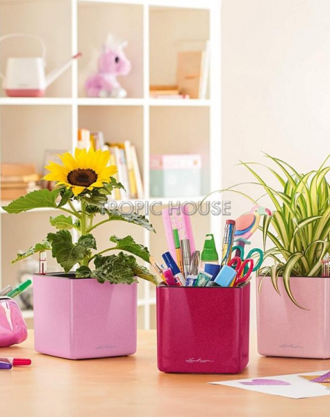 Кашпо LECHUZA CUBE Glossy Kiss 14х13.5 см Кашпо LECHUZA CUBE Glossy Kiss 14х13.5 см