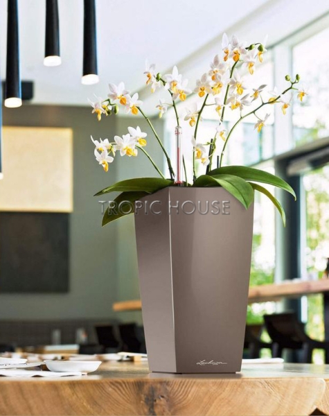 Кашпо LECHUZA MAXI-CUBI 14х26 см Кашпо LECHUZA MAXI-CUBI 14х26 см