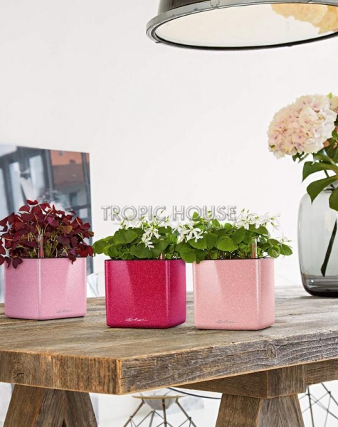 Кашпо LECHUZA CUBE Glossy Kiss 14х13.5 см Кашпо LECHUZA CUBE Glossy Kiss 14х13.5 см