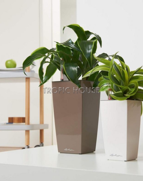 Кашпо LECHUZA MINI-CUBI 9х18 см Кашпо LECHUZA MINI-CUBI 9х18 см