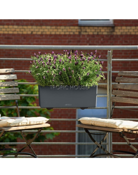 Кашпо LECHUZA BALCONERA Color 50х19 см Кашпо LECHUZA BALCONERA Color 50х19 см
