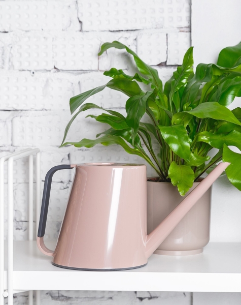 Лейка для комнатных цветов Loft (пудровый) Лейка для комнатных цветов Loft (пудровый)