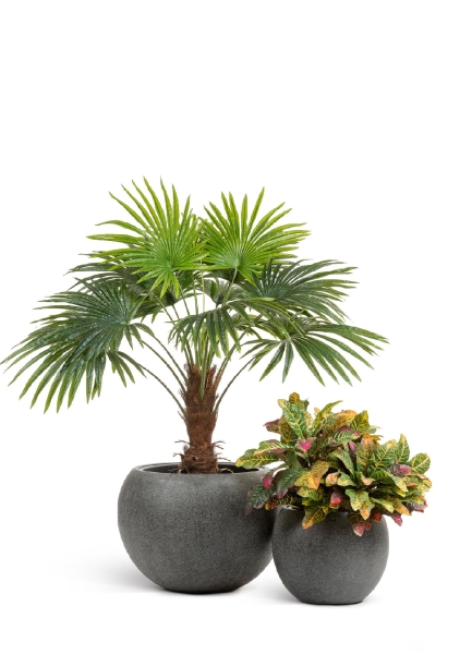 Кашпо TREEZ Effectory, Большая полусфера, Тёмно-серый камень Кашпо TREEZ Effectory, Большая полусфера, Тёмно-серый камень