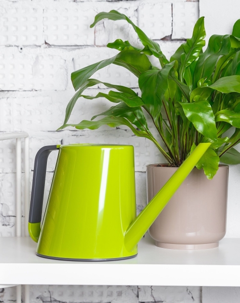 Лейка для комнатных цветов Loft (зеленый) Лейка для комнатных цветов Loft (зеленый)