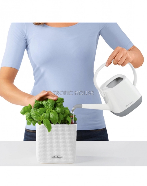 Кашпо LECHUZA ЗЕЛЕНАЯ СТЕНА Home Kit Color 15х14 см Кашпо LECHUZA ЗЕЛЕНАЯ СТЕНА Home Kit Color 15х14 см