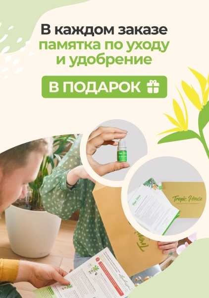 Стрелиция Николай 30/200 см Стрелиция Николай 30/200 см