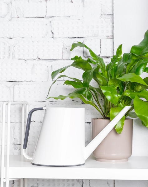 Лейка для комнатных цветов Loft (белый) Лейка для комнатных цветов Loft (белый)