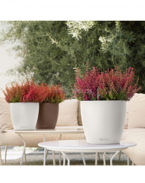 Кашпо LECHUZA CLASSICO Color 28х26 см Кашпо LECHUZA CLASSICO Color 28х26 см